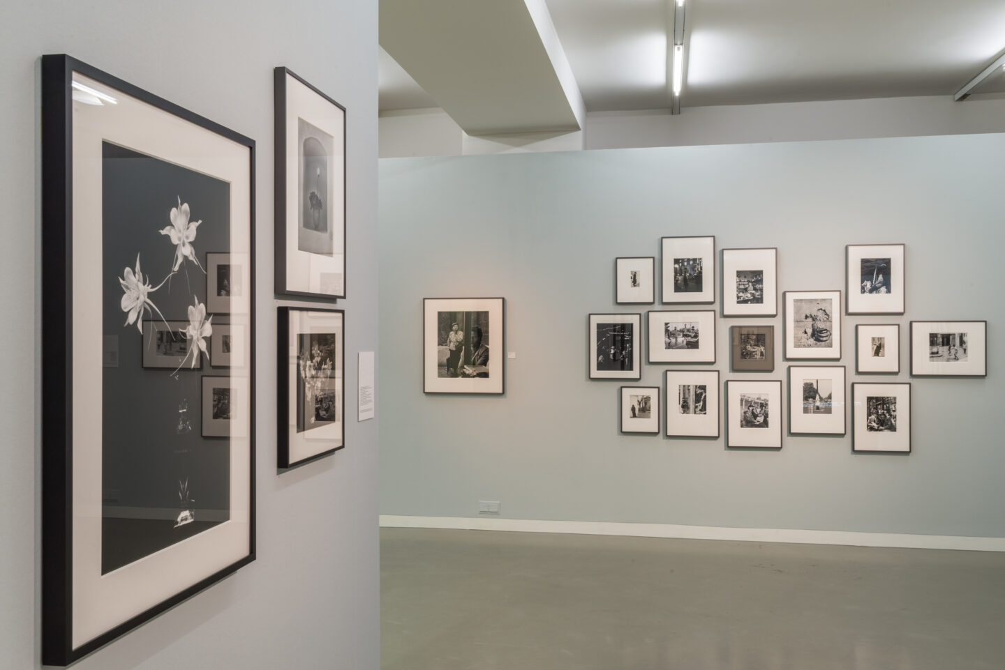 Peter Fink – Foto-Ausstellung in Frankfurt