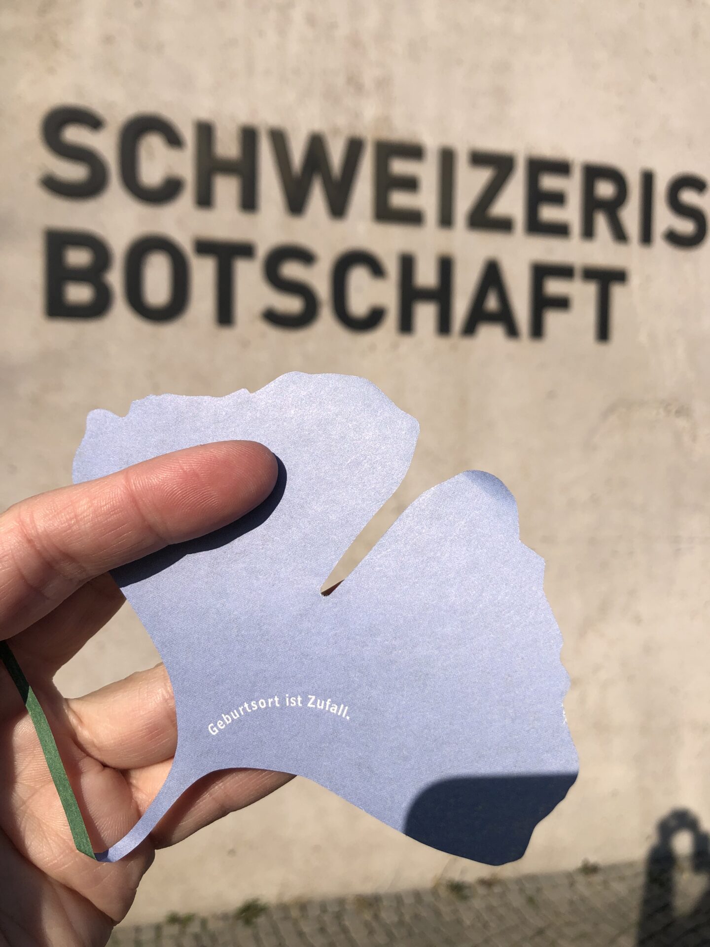 Pipilotti Rist, Schweizer Botschaft, Geburtsort ist Zufall, Ginkgoblatt, Blätter im Wind, Installation, Berlin
