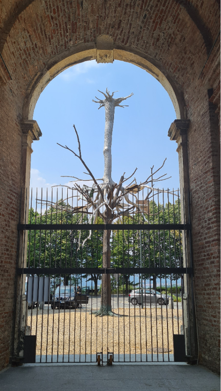 Castello di Rivoli, Italien, Giuseppe Penone, zwei Bäume ineinander übereinander, Ein Baum steht mit den Östen kopfüber auf dem anderen Baum