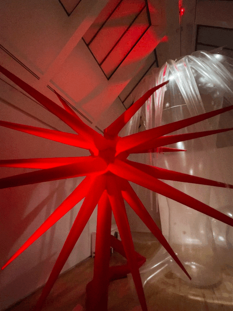 Plastic World, die aktuelle Ausstellung in der Schirn, rote Anemone, Otto Piene